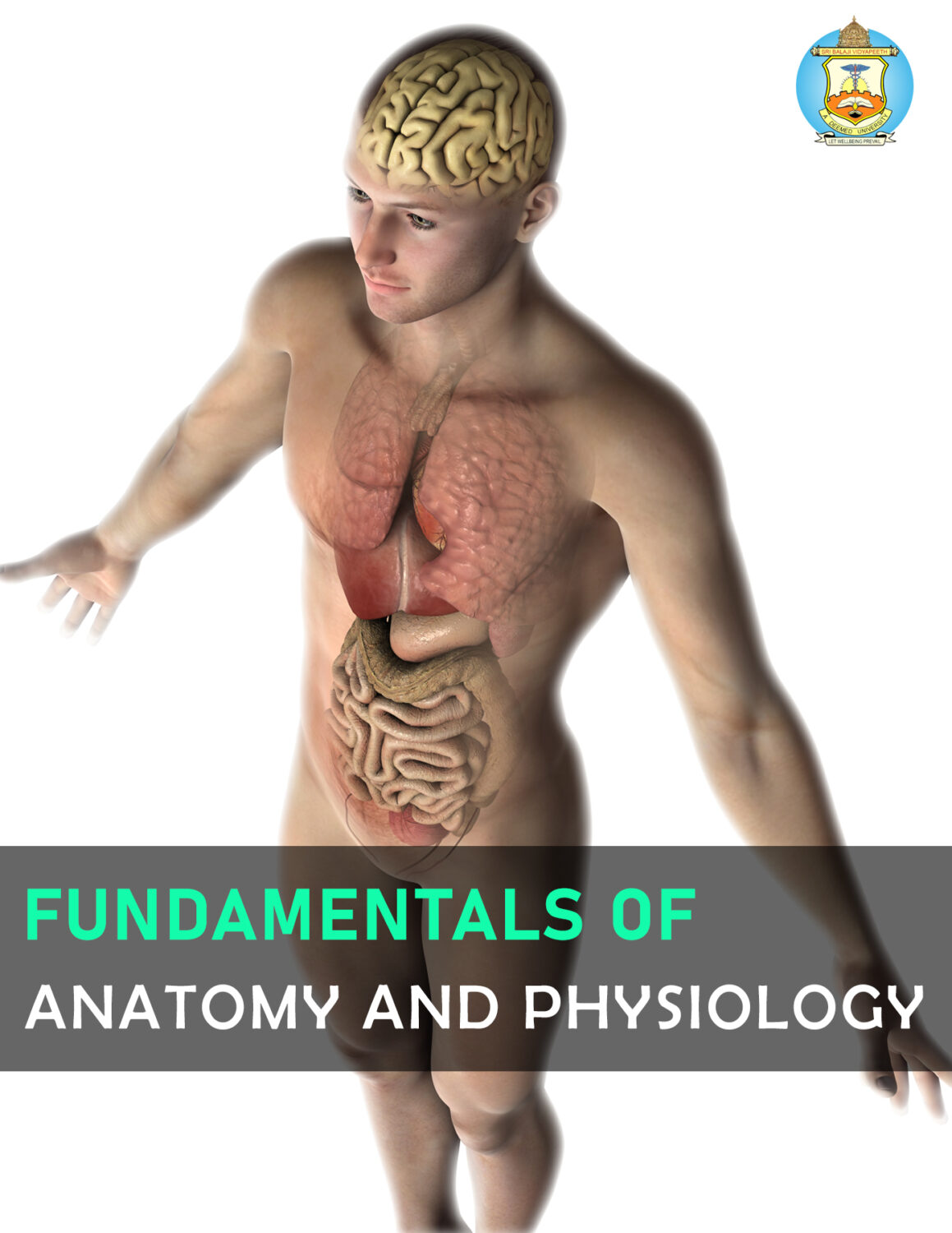 Cover image for SBV Fundamentals of Anatomy and Physiology