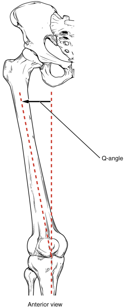 The Q-angle
